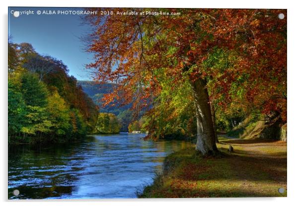The River Tay, Dunkeld, Perthshire Acrylic by ALBA PHOTOGRAPHY