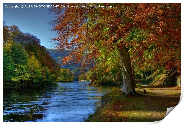 The River Tay, Dunkeld, Perthshire Print by ALBA PHOTOGRAPHY