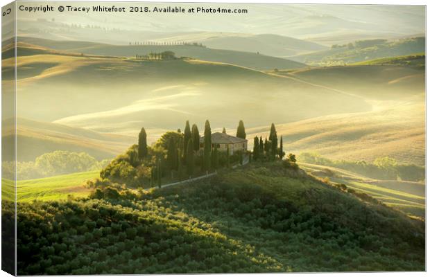 A Tuscan Classic  Canvas Print by Tracey Whitefoot