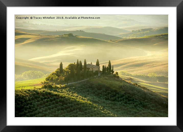 A Tuscan Classic  Framed Mounted Print by Tracey Whitefoot