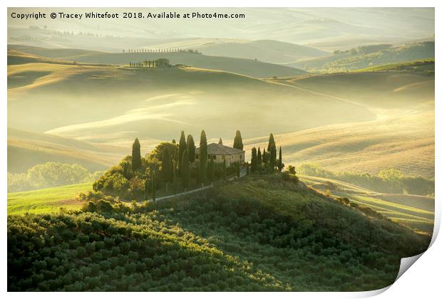 A Tuscan Classic  Print by Tracey Whitefoot