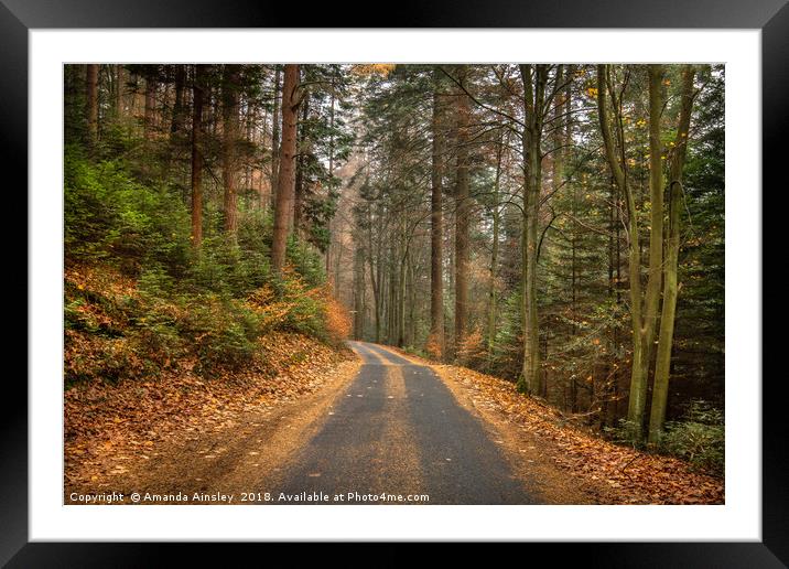 A Majestic Autumn Drive Framed Mounted Print by AMANDA AINSLEY