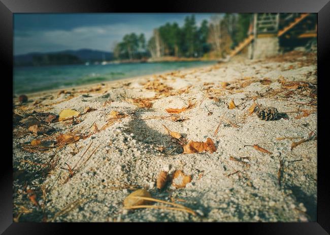 Mountain lake in autumn Framed Print by Larisa Siverina