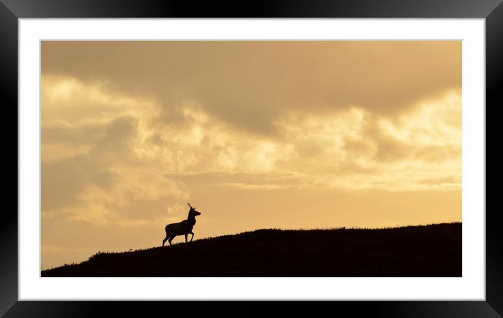 Strathglass Silhouette Framed Mounted Print by Macrae Images