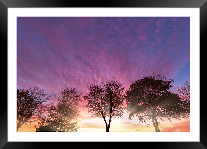Rural purple sunset over winter trees Framed Mounted Print by Simon Bratt LRPS