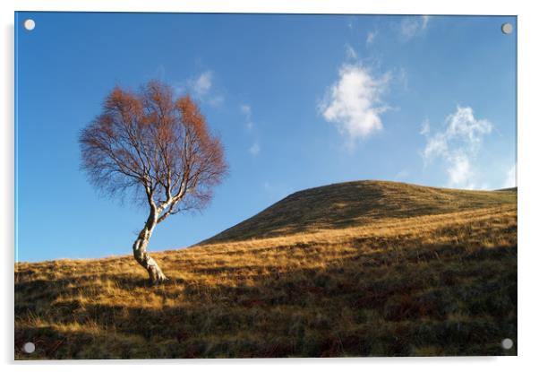 Lone Tree & Dean Hill                    Acrylic by Darren Galpin