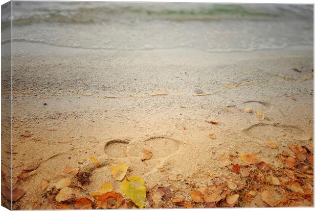 Footprints in the sand Canvas Print by Larisa Siverina