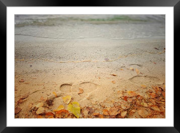 Footprints in the sand Framed Mounted Print by Larisa Siverina
