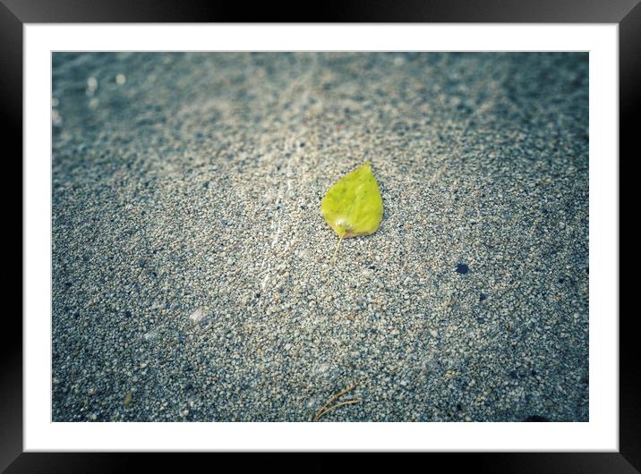 Yellow leaf in transparent water Framed Mounted Print by Larisa Siverina