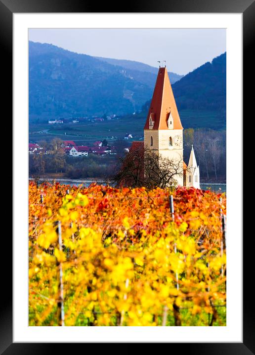 Weissenkirchen. Wachau valley. Autumn colored leav Framed Mounted Print by Sergey Fedoskin