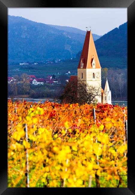 Weissenkirchen. Wachau valley. Autumn colored leav Framed Print by Sergey Fedoskin