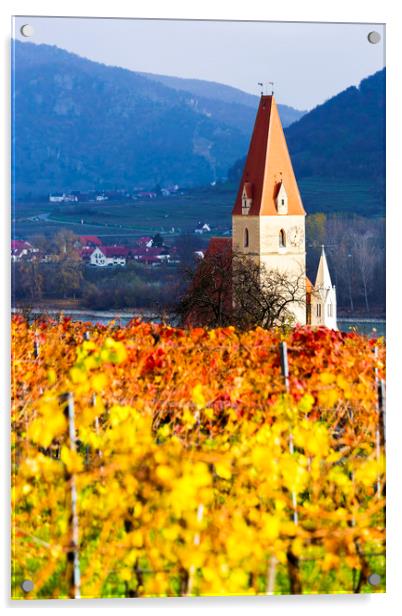 Weissenkirchen. Wachau valley. Autumn colored leav Acrylic by Sergey Fedoskin