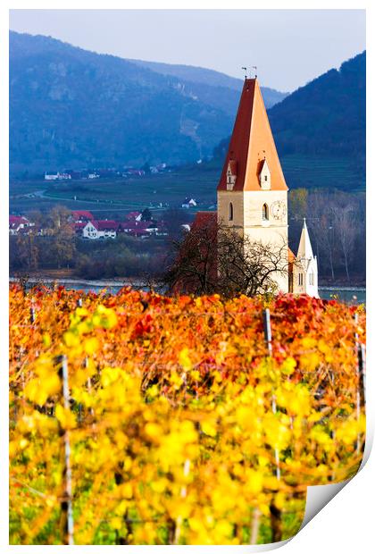 Weissenkirchen. Wachau valley. Autumn colored leav Print by Sergey Fedoskin