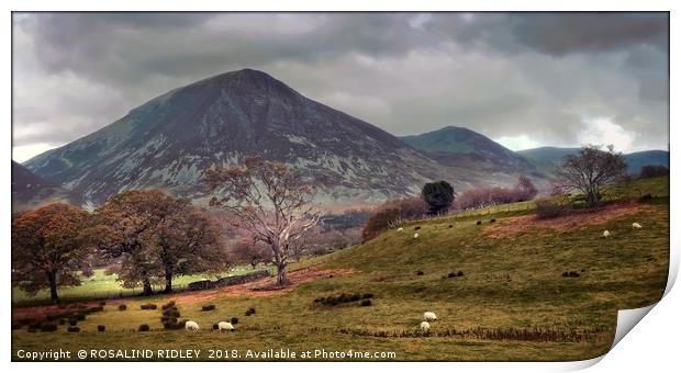 "Evening light across the valley" Print by ROS RIDLEY