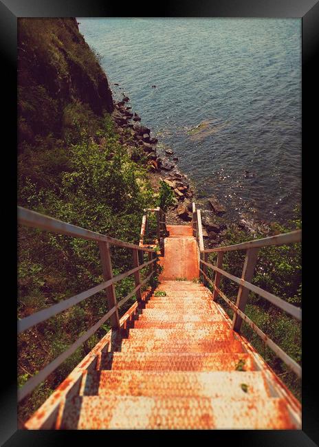 Old rusty stairs Framed Print by Larisa Siverina