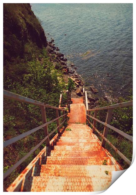 Old rusty stairs Print by Larisa Siverina