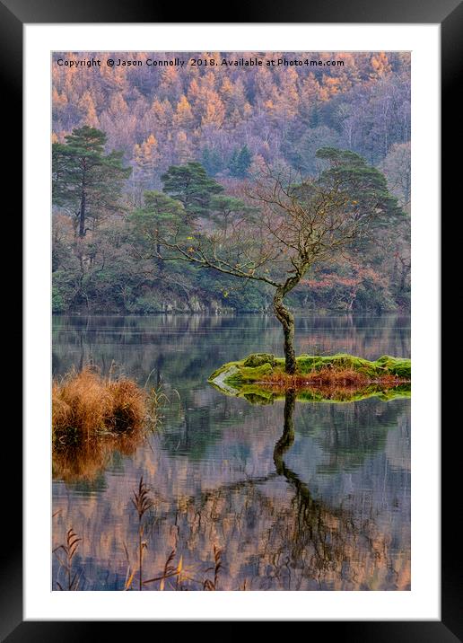 Rydalwater Tree Framed Mounted Print by Jason Connolly