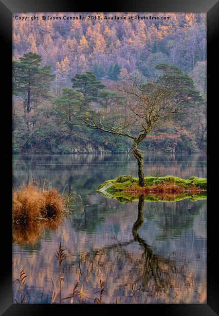 Rydalwater Tree Framed Print by Jason Connolly
