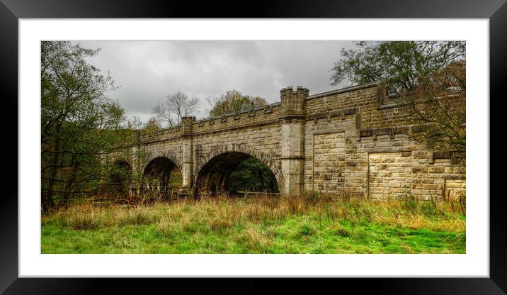 The Nidd Aquaduct               Framed Mounted Print by Diana Mower