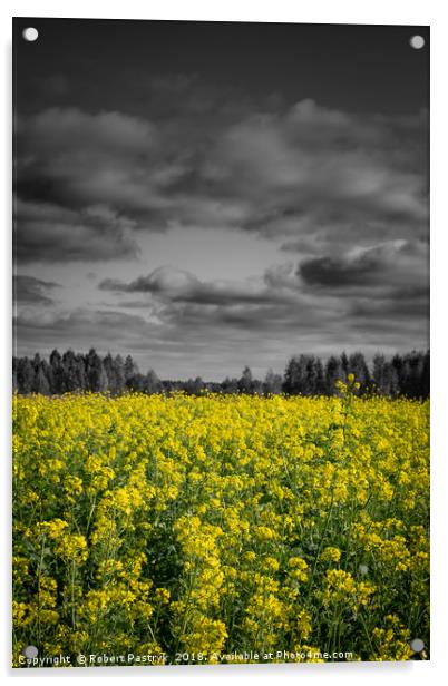 Rapeseed field and dark clouds in Poland. Acrylic by Robert Pastryk