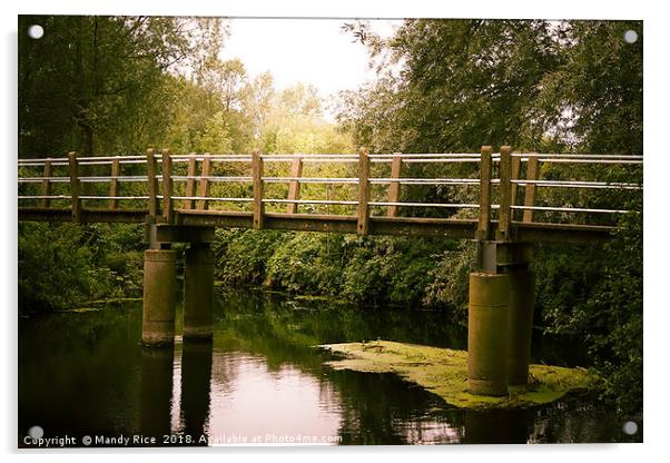 Bridge over River Chelmer, Sandon Acrylic by Mandy Rice
