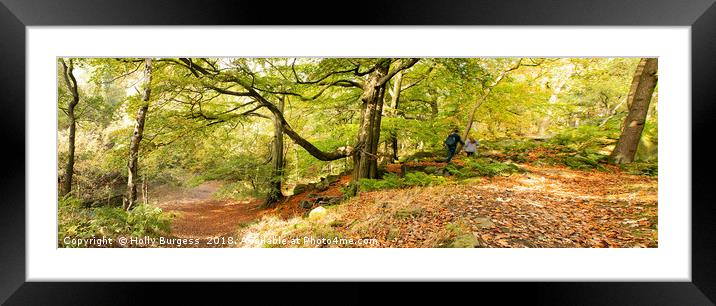 Enchanting Padley Gorge, Derbyshire Framed Mounted Print by Holly Burgess