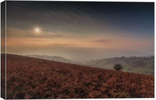 Autumn evening on the Black Mountains Canvas Print by Leighton Collins