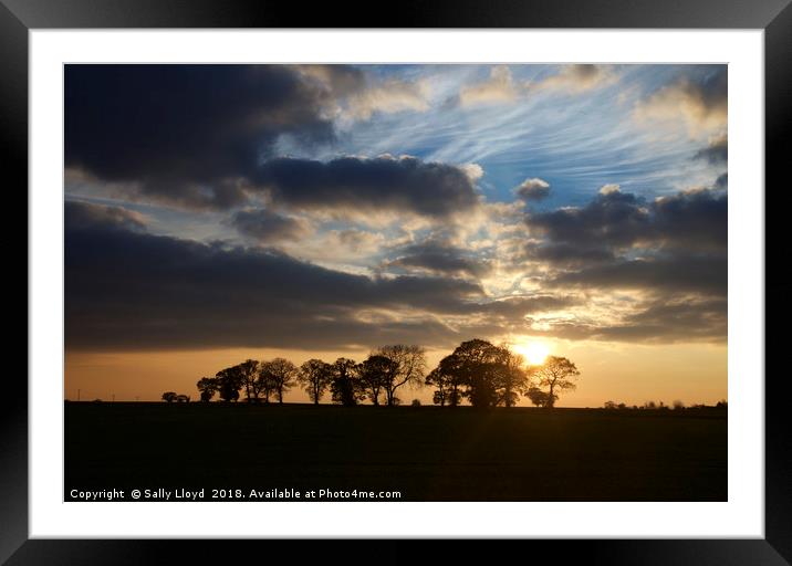 Wintry Norfolk Sunset Framed Mounted Print by Sally Lloyd