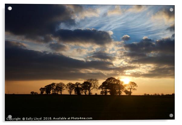 Wintry Norfolk Sunset Acrylic by Sally Lloyd