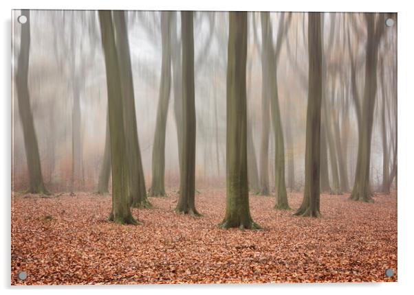 Autumn Mist Acrylic by Graham Custance