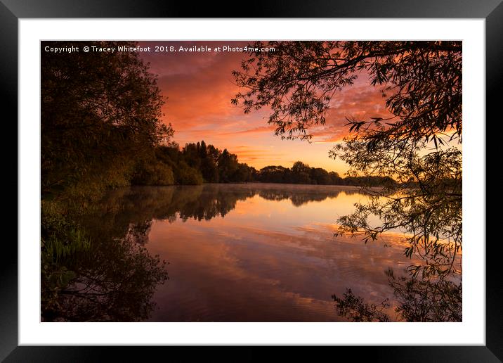 Colwick Sunrise  Framed Mounted Print by Tracey Whitefoot