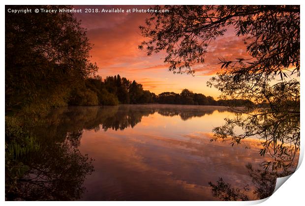 Colwick Sunrise  Print by Tracey Whitefoot