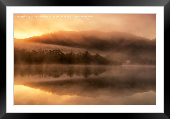 Golden Mist  Framed Mounted Print by Tracey Whitefoot