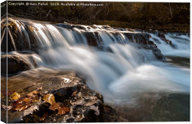 Welsh Waterfall in the Autumn Canvas Print by Gary Parker