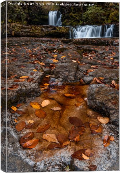 Waterfall in the Autumn  Canvas Print by Gary Parker