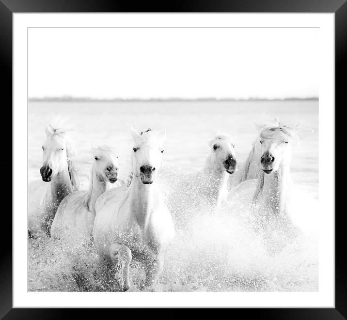 Ghost Horses Framed Mounted Print by Jenni Alexander