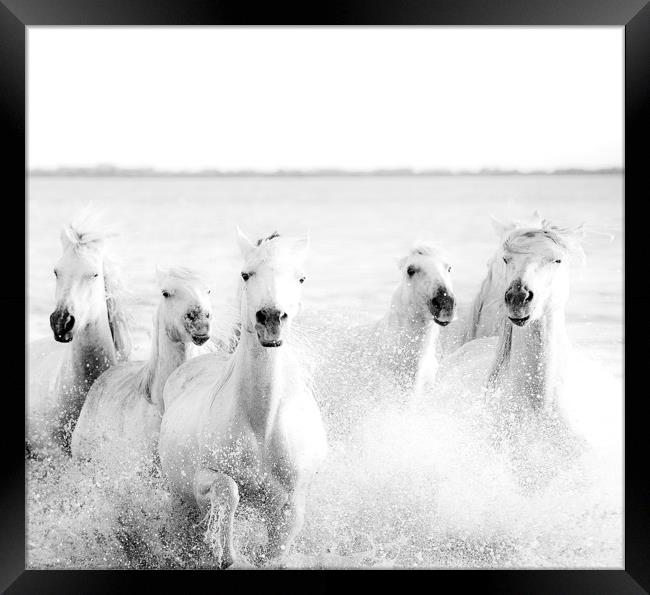 Ghost Horses Framed Print by Jenni Alexander