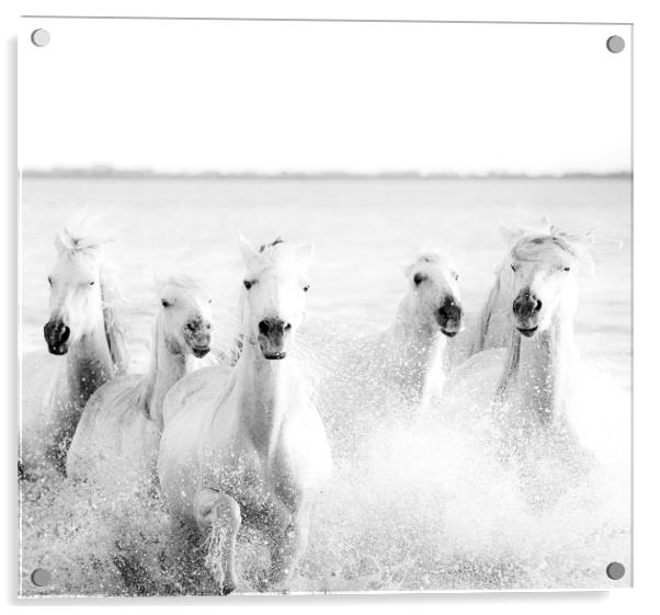 Ghost Horses Acrylic by Jenni Alexander