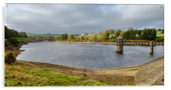 Lower Laithe Reservoir Acrylic by Diana Mower