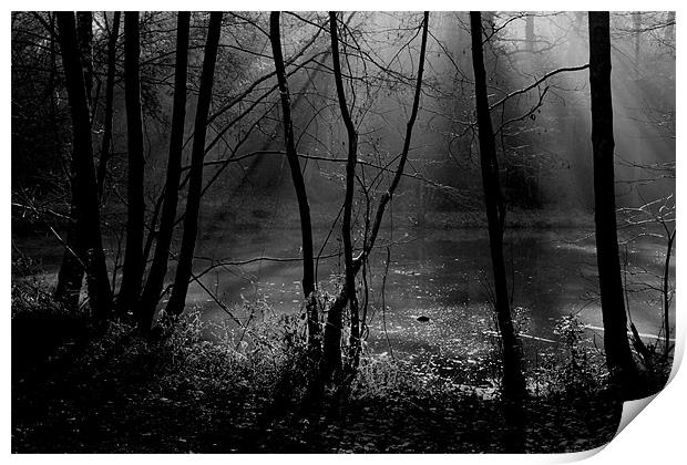 Mist on the Water Print by Samantha Higgs