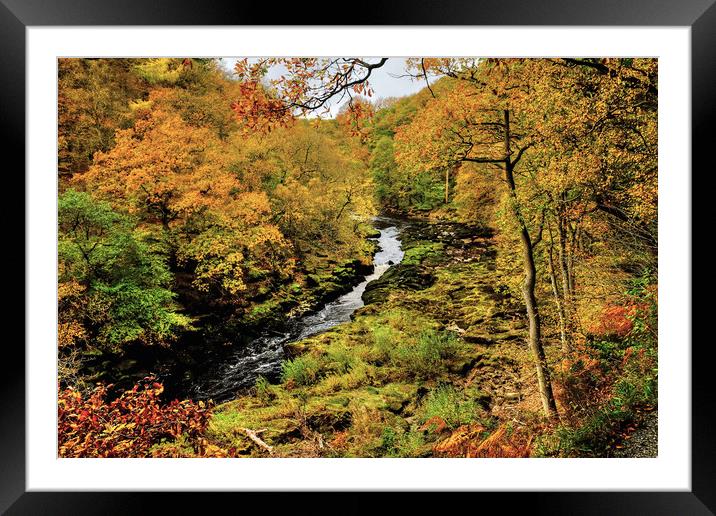 The Strid Wharfedale Framed Mounted Print by Diana Mower