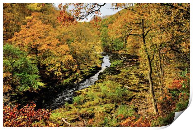 The Strid Wharfedale Print by Diana Mower