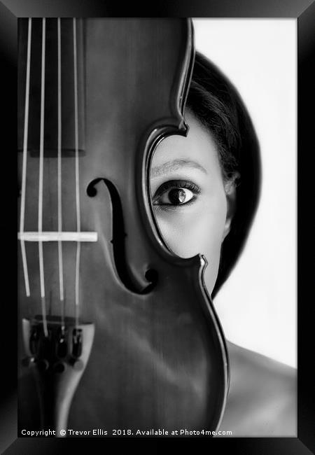 An Eye for Music Framed Print by Trevor Ellis