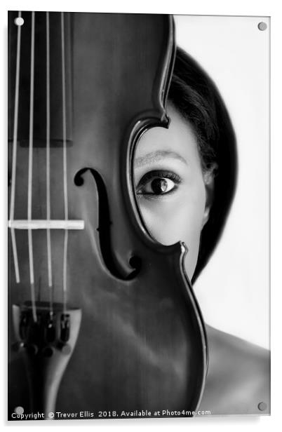 An Eye for Music Acrylic by Trevor Ellis