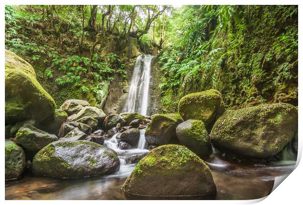 Cascade in Green Print by Kevin Snelling