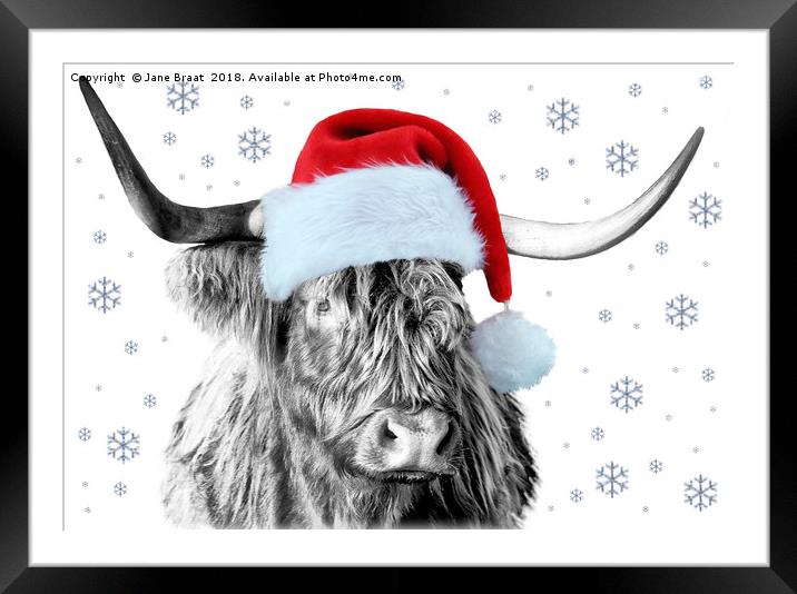 The Festive Scottish Cow Framed Mounted Print by Jane Braat