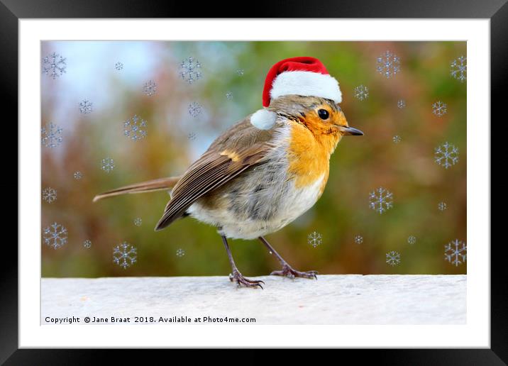 Adorable Christmas Robin Framed Mounted Print by Jane Braat