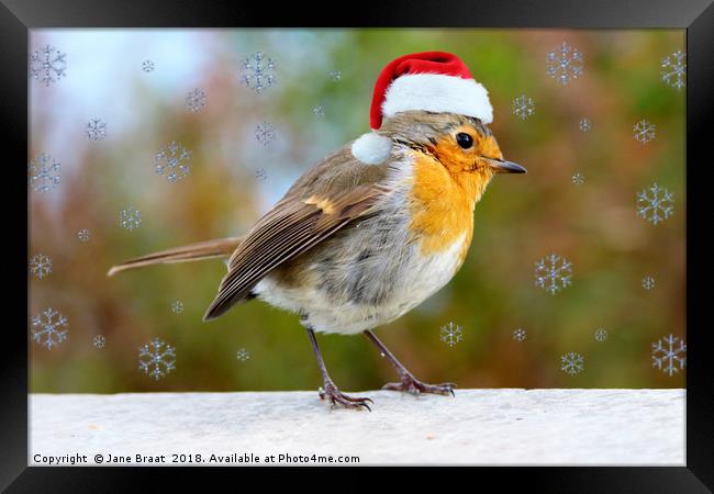 Adorable Christmas Robin Framed Print by Jane Braat