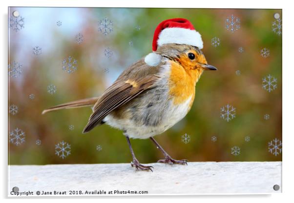 Adorable Christmas Robin Acrylic by Jane Braat