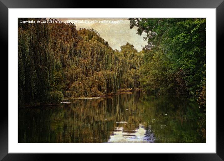 Down By The Lake Framed Mounted Print by LIZ Alderdice